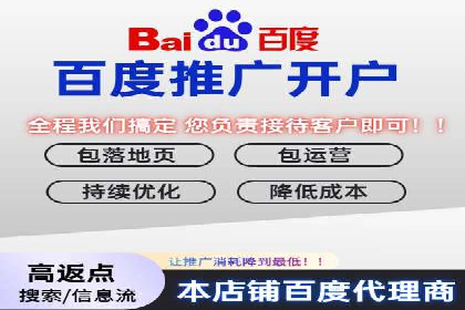 百度竞价与搜索引擎优化（SEO）的协同效应案例